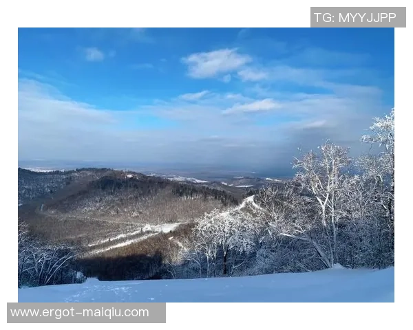新雪季｜长白山：注册21个城市20条航线，82条雪道掩盖全技术滑雪人群